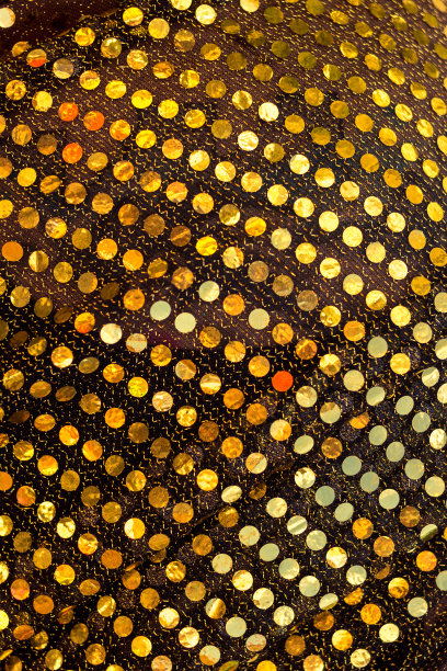 亮片在幻想曲图片下载