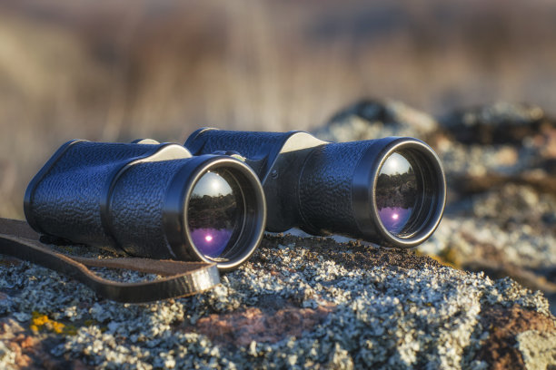 用黑色双筒望远镜特写岩石。大草原上的早晨。图片下载