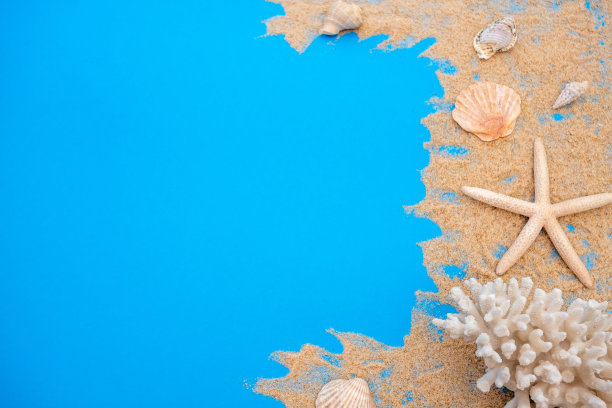 夏天的概念与贝壳和海星在蓝色的木制背景和沙子。图片下载