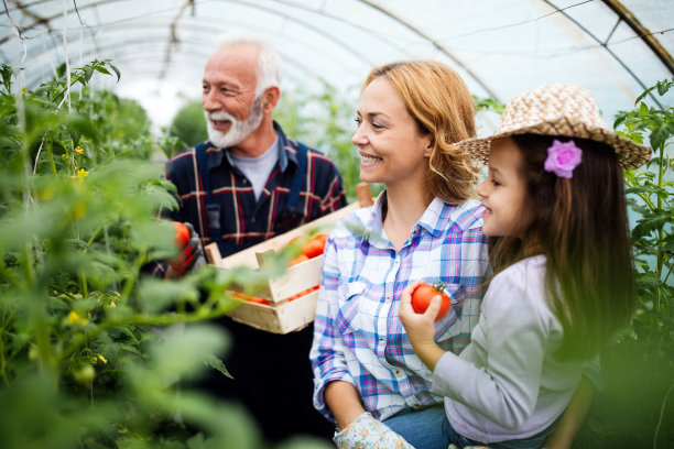 祖父与孙辈和家人在农场种植有机蔬菜图片下载