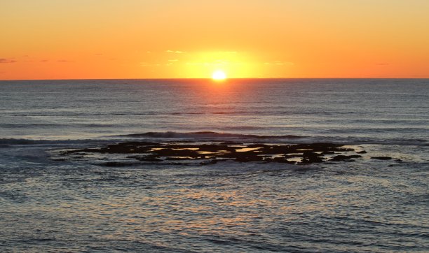 鲨鱼岛图片下载