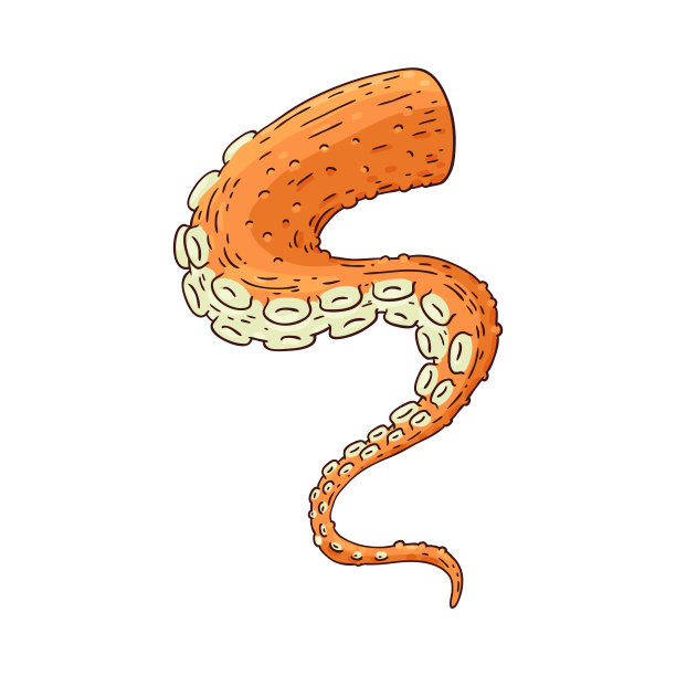 矢量章鱼或乌贼触手素描图标图片下载