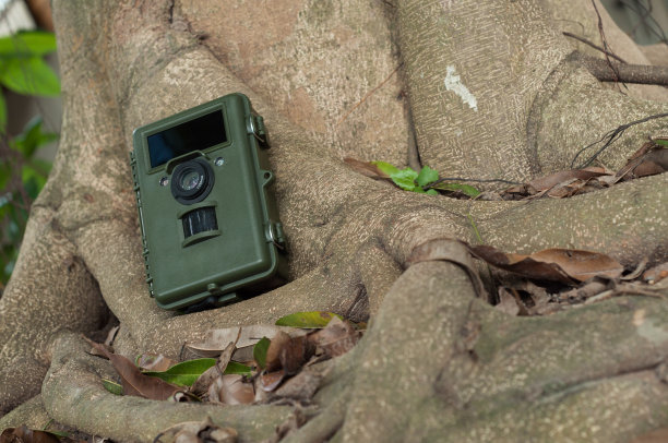 相机陷阱图片下载