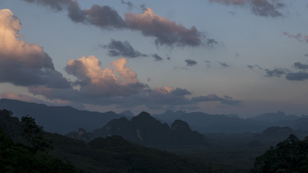 神奇的雨林被雾覆盖图片下载