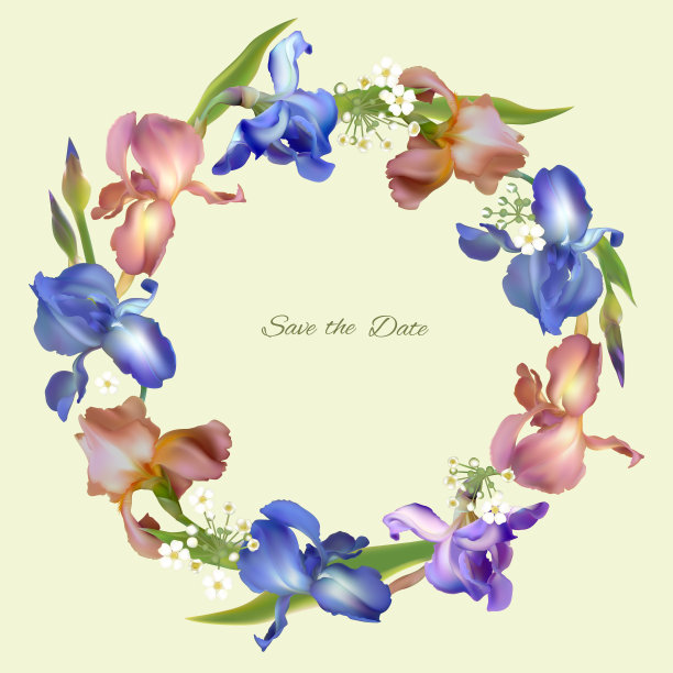 虹膜。花。花的背景。边境。蓝色的。花瓣。花朵图案。花环。绿色的树叶。图片下载