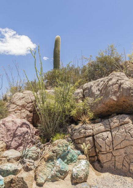 沙漠景观图片下载