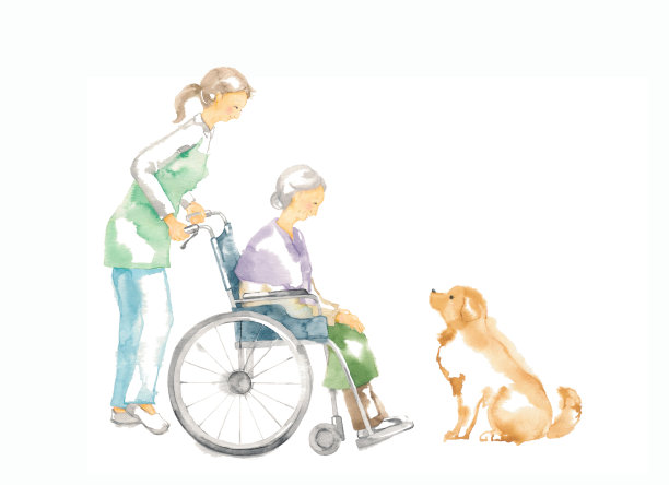 坐在轮椅上的祖母图片下载