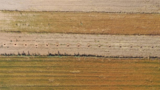 其中一个的培养带有类似于从无人机上看到的皮带的洞图片下载