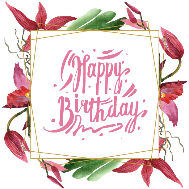 马萨拉兰花，花卉植物花。水彩背景插图集。边框装饰方形。图片下载