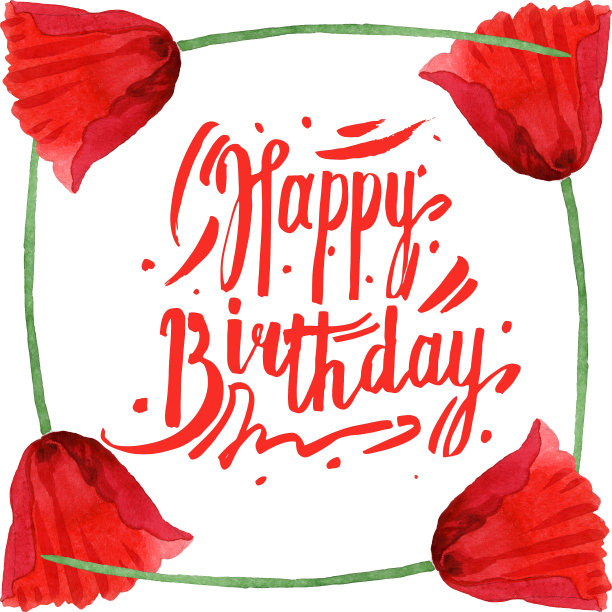 红罂粟，一种植物的花。水彩背景插图集。边框装饰方形。图片下载