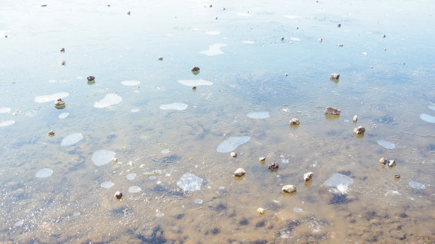 日本河面结了冰图片下载