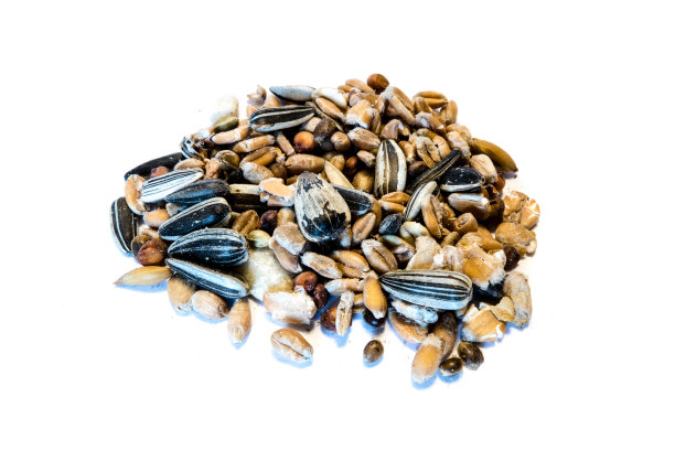 鸟类食物孤立在白色背景上图片下载