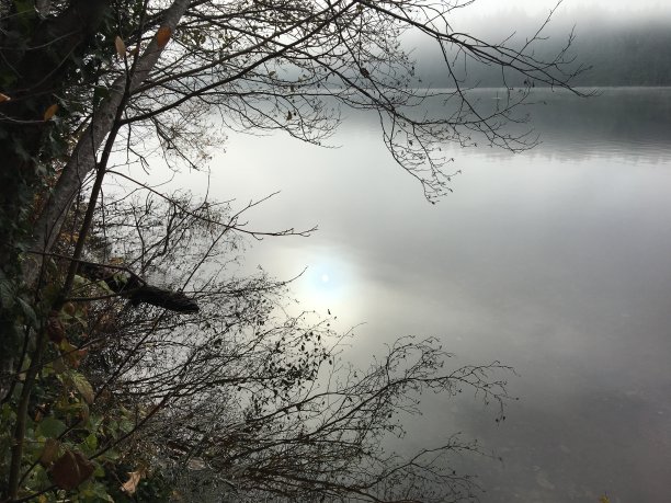 湖上雾蒙蒙的早晨图片下载