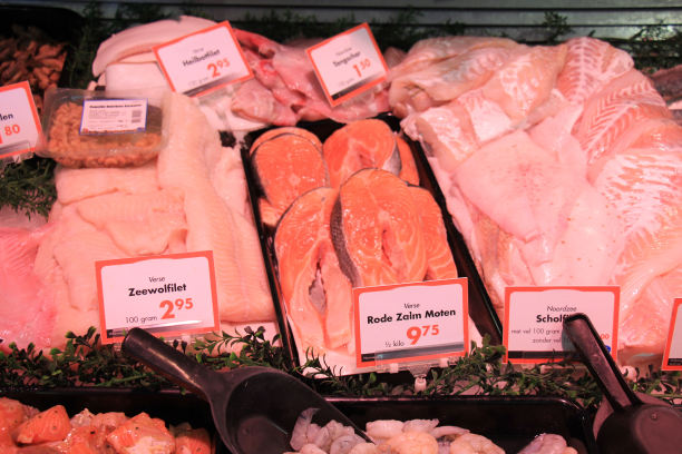 展出淡水图片下载