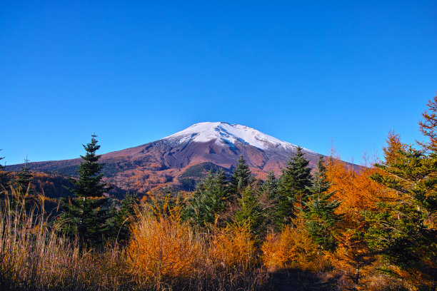 富士山的秋天图片下载