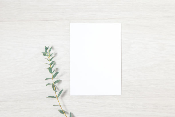 婚礼邀请模型-空白邀请卡图片下载