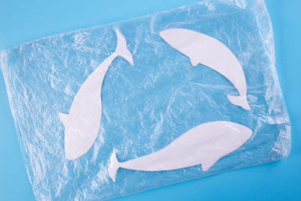 海洋塑料污染问题。图片下载