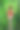 性感的年轻女人穿着红色泳衣在岩石上，后视图。图片下载