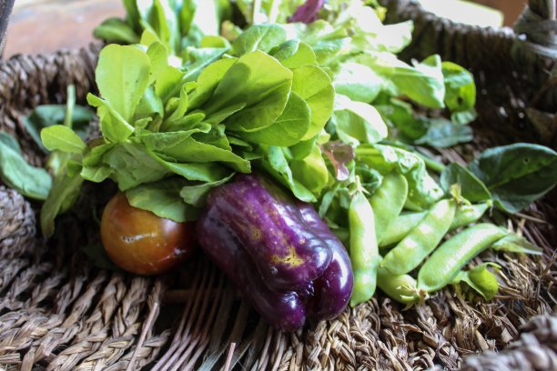 篮子里装着新鲜蔬菜，包括豌豆、蕃茄、莴苣和紫甜椒图片下载