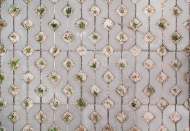 铺有草的石板。从上面的观点图片下载