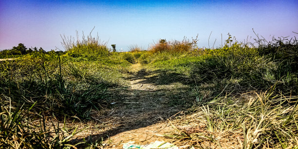 这条小路图片下载