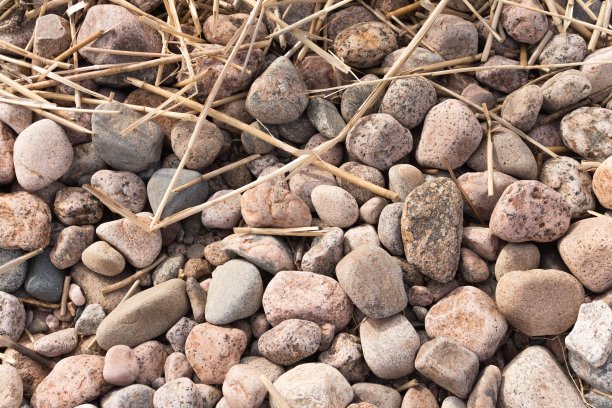 背景图片墙纸卵石卵石在海边用芦苇图片下载