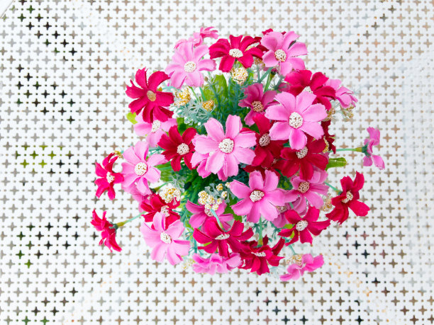 美丽花束特写图片下载