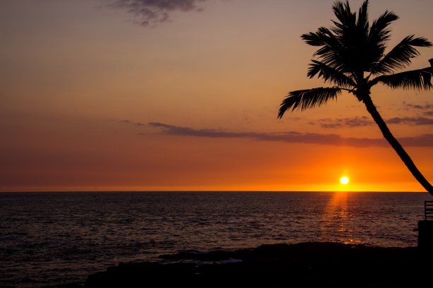 色彩斑斓的晚霞勾勒出棕榈树图片下载