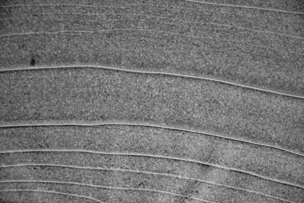 冬季冰背景图片下载