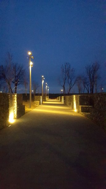 公园的照明车道Frédéric-back de Montréal(图2)图片下载