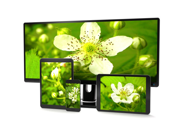 电脑小工具和自然概念(3d插图)。图片下载