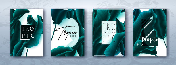 花，棕榈叶，最小向量。图片下载