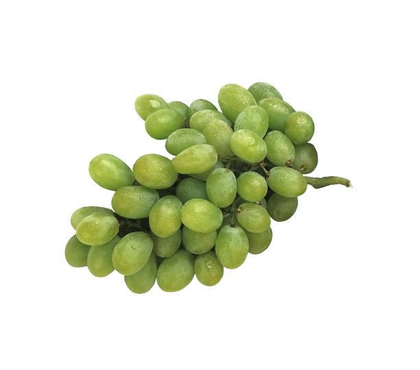 白色背景上的一串成熟的葡萄图片下载