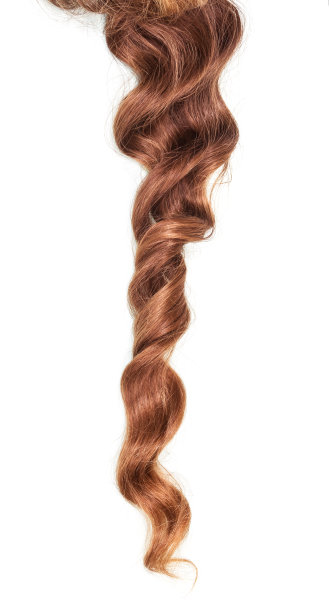 美丽的卷发，浅棕色的头发孤立在白色图片下载