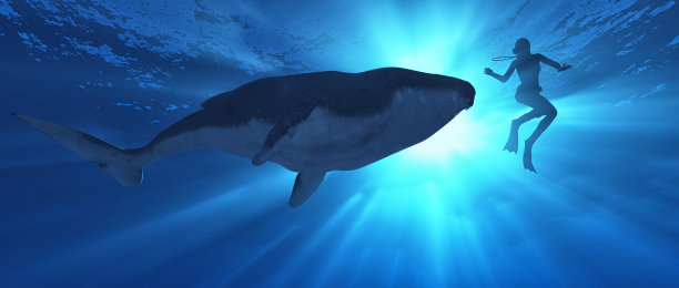 低角度的鲸鱼和潜水员游泳在海洋。这是一个3d渲染。图片下载