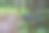 蒂顿泥泞小径上的踪迹标志图片下载