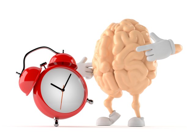 大脑性格与闹钟图片下载