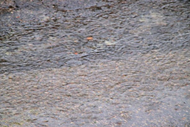 雨图片下载