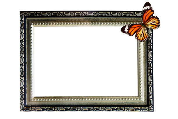 框架与蝴蝶孤立在白色图片下载