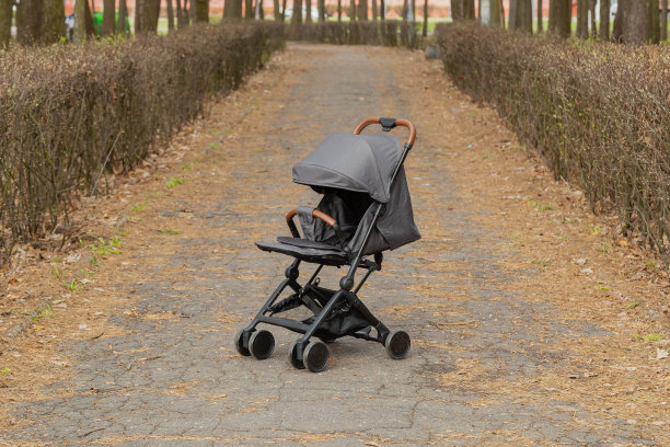 公园里漂亮的婴儿车。新设计图片下载