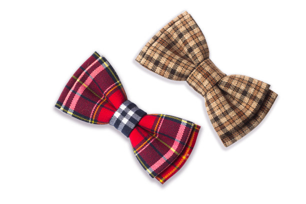 白色背景上的棕色格子领结。男女配件。潮人的风格图片下载