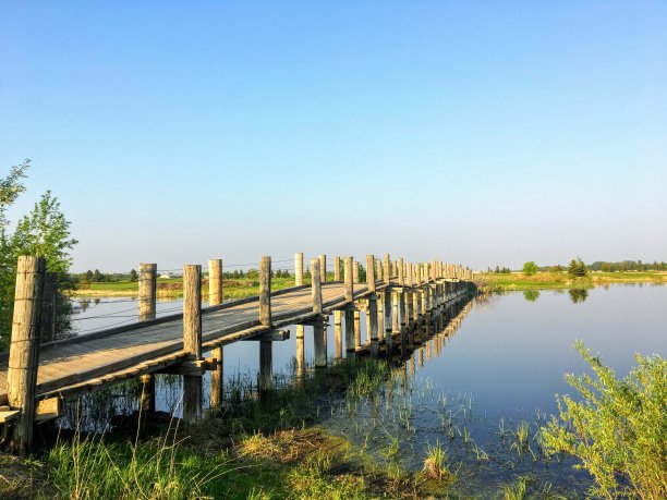 在一个美丽的夏夜，在加拿大阿尔伯塔省的埃德蒙顿，一座古老的木制长脚桥横跨一个美丽的沼泽池塘图片下载
