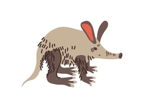 非洲食蚁兽野生珍奇动物载体插图图片下载