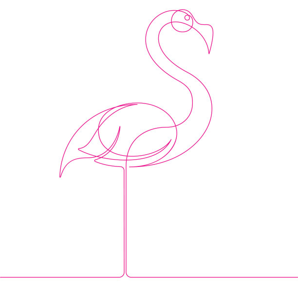 粉色火烈鸟单连续线矢量图形插图图片下载