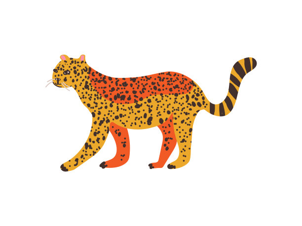 猎豹，野生外来非洲动物载体插图图片下载