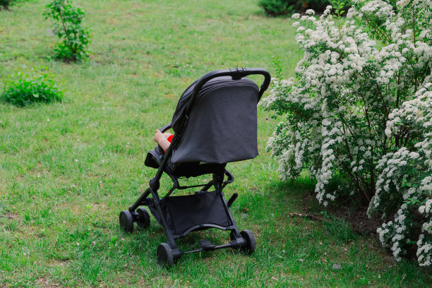 在一个阳光明媚的日子里，一个小男孩坐在美丽的灌木旁的婴儿车里图片下载