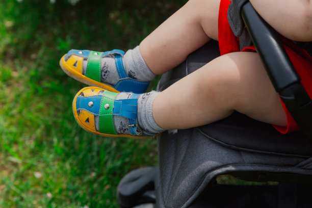 在一个阳光明媚的日子里，一个小男孩坐在美丽的灌木旁的婴儿车里图片下载