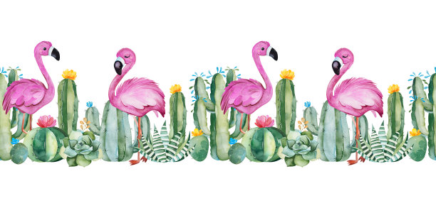 可爱的无缝重复边界绿色水彩仙人掌，多肉植物，花和粉红色火烈鸟素材图片