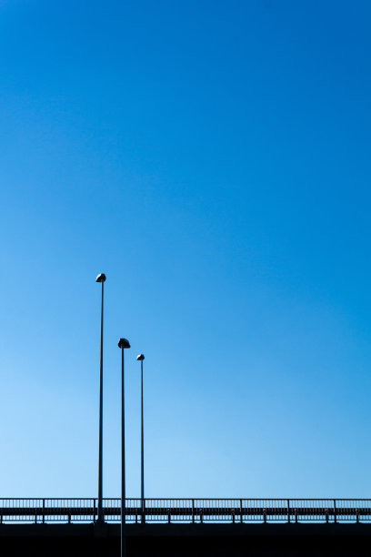 桥，花灯，蓝天，万里无云。城市建筑。图片下载