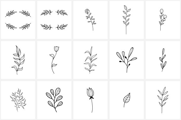 手绘花标志元素和图标图片下载